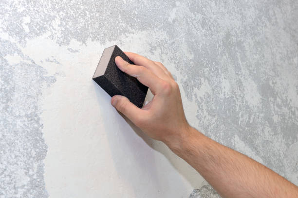 Best Residential Mold Inspection & Testing  in Mora, MN