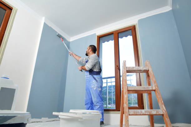 Best Biohazard Mold Removal  in Mora, MN