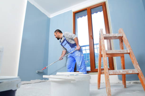 Mold Documentation for Insurance Claims in Mora, MN