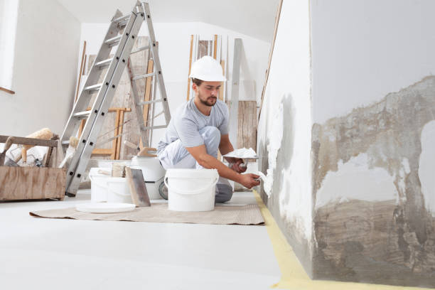 Best Dehumidification Services  in Mora, MN