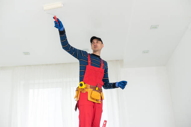 Best Mold Damage Restoration  in Mora, MN