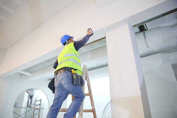 Best Comprehensive Air Testing for Mold Contaminants  in Mora, MN